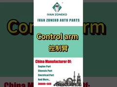 Marka Ivanzoneko - pełna gama ramienia sterującego