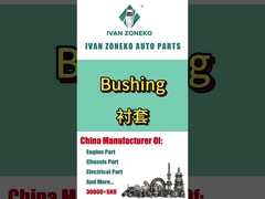 Ivan Zoneko - Busing