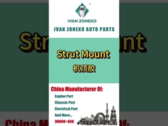 Ivan Zoneko - Strut Mount