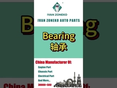 Ivan Zoneko- łożysk